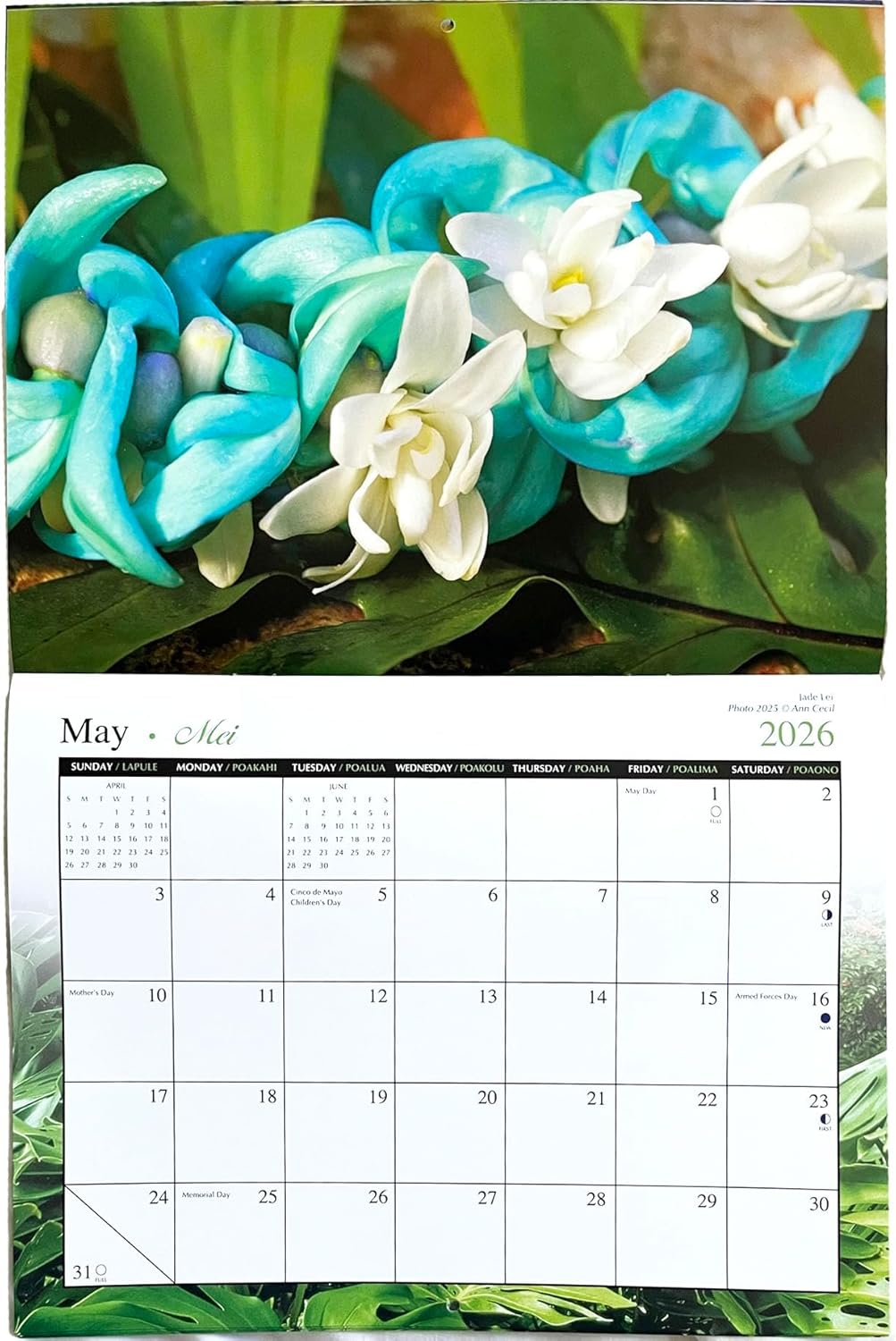 Islander Hawaii 2026 Wall Calendar – Flowers of Hawai‘i
