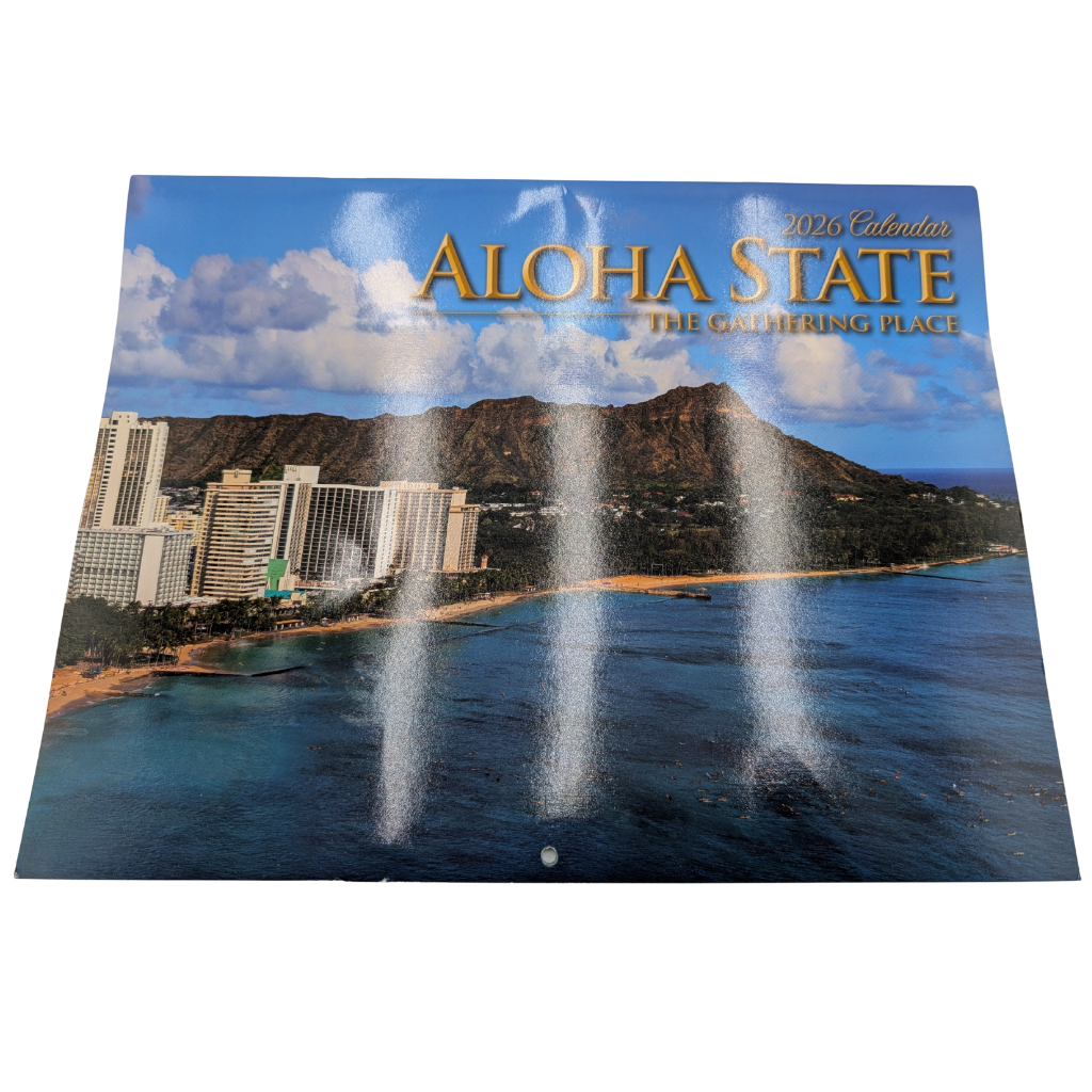 Island Kine Snacks Premium 11-Piece Hawaiian Gift Box